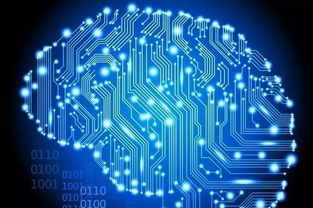 計算機科學專業分支與學位解讀