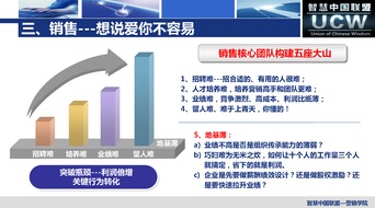 新媒體沖擊下的全網(wǎng)營銷實戰(zhàn) 智慧中國聯(lián)盟廈門信息技術咨詢服務的探索