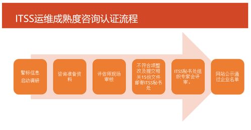 ITSS信息技術(shù)服務(wù)標(biāo)準(zhǔn)知識(shí)大全 信息技術(shù)咨詢服務(wù)詳解
