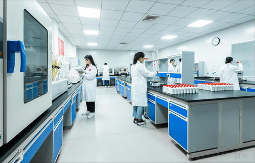 白酒科技賦能微生物服務 茅臺鎮(zhèn)國臺酒的現(xiàn)代化啟示