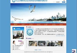 服務行業(yè)網(wǎng)站建設與設計 信息技術咨詢服務的實踐與案例